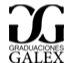 GALEX LOGO FOOTER